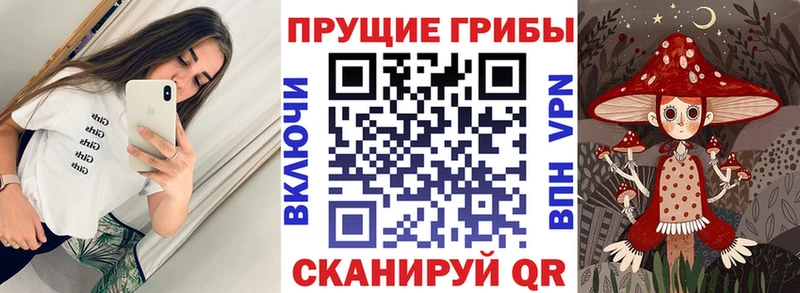 Псилоцибиновые грибы MAGIC MUSHROOMS  купить  сайты  MEGA зеркало  Юрьев-Польский 